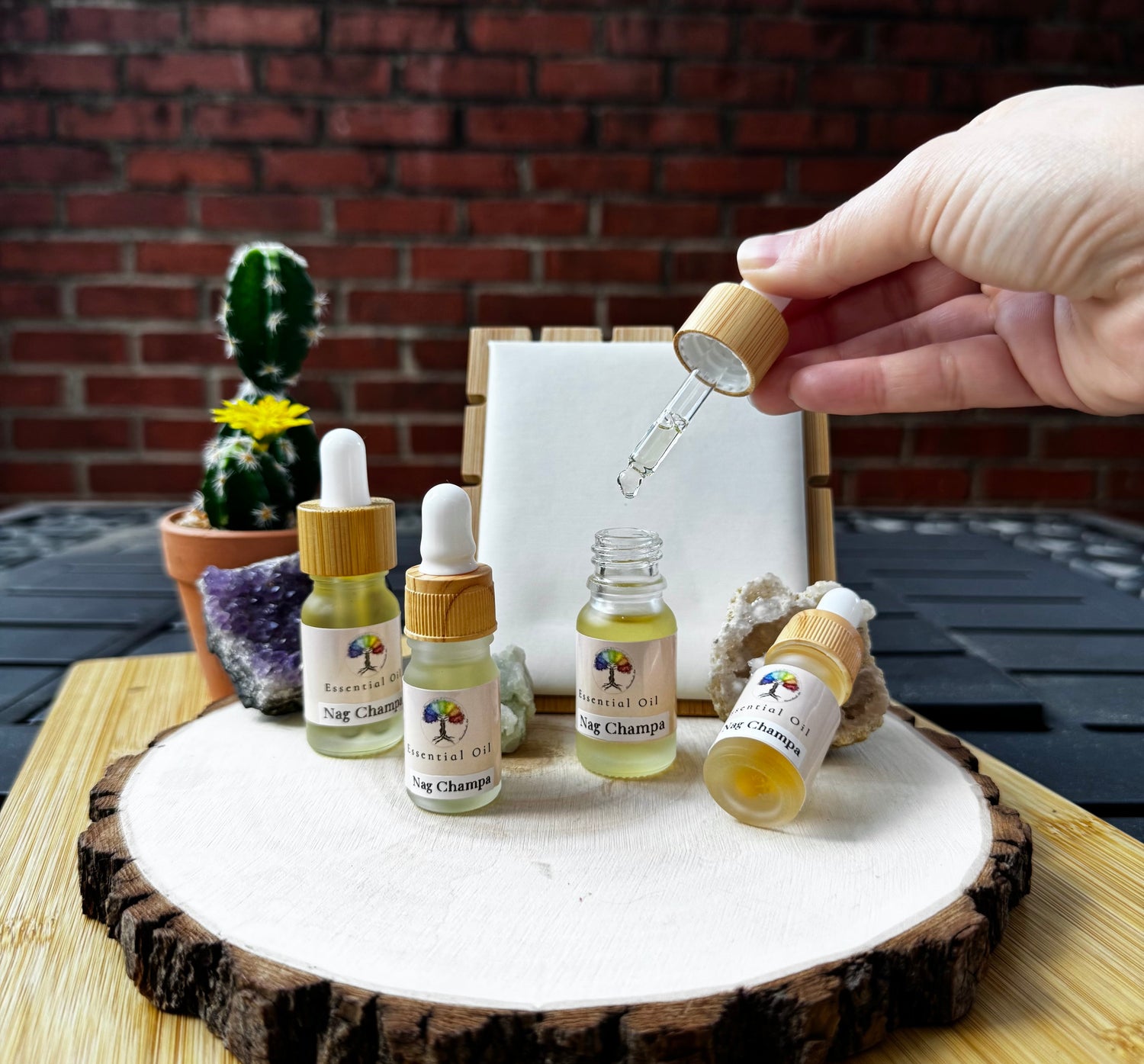 All Wellness
