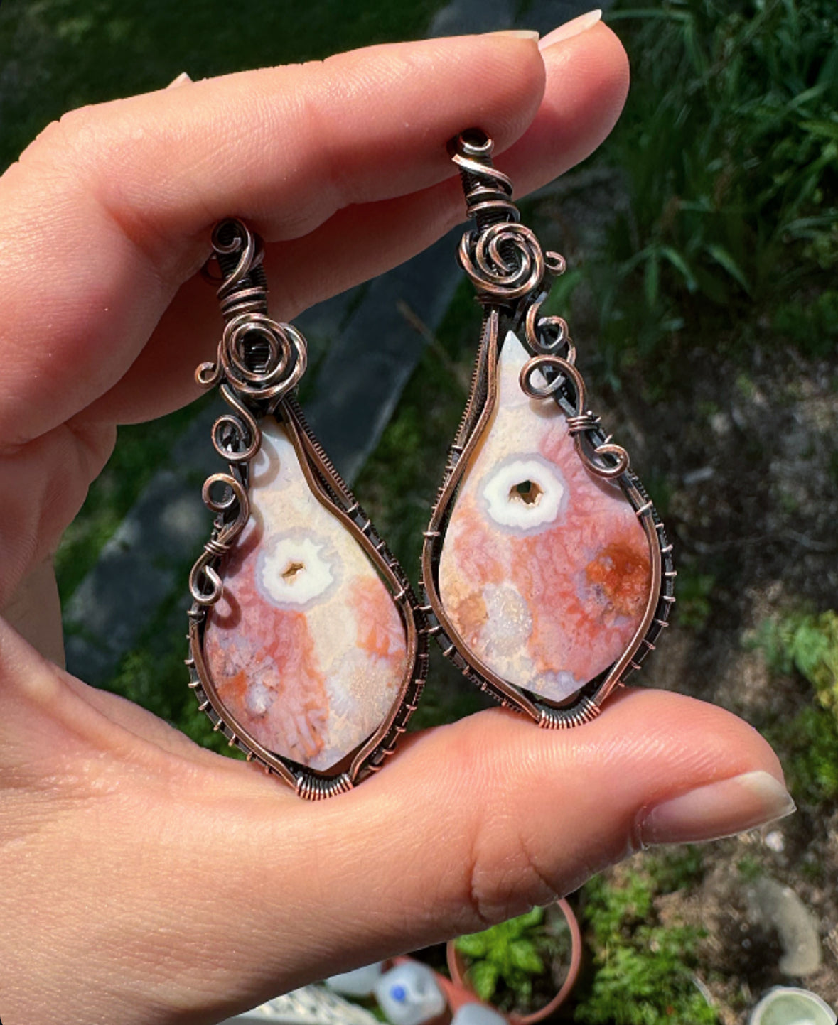 Druzy Fossilized Coral