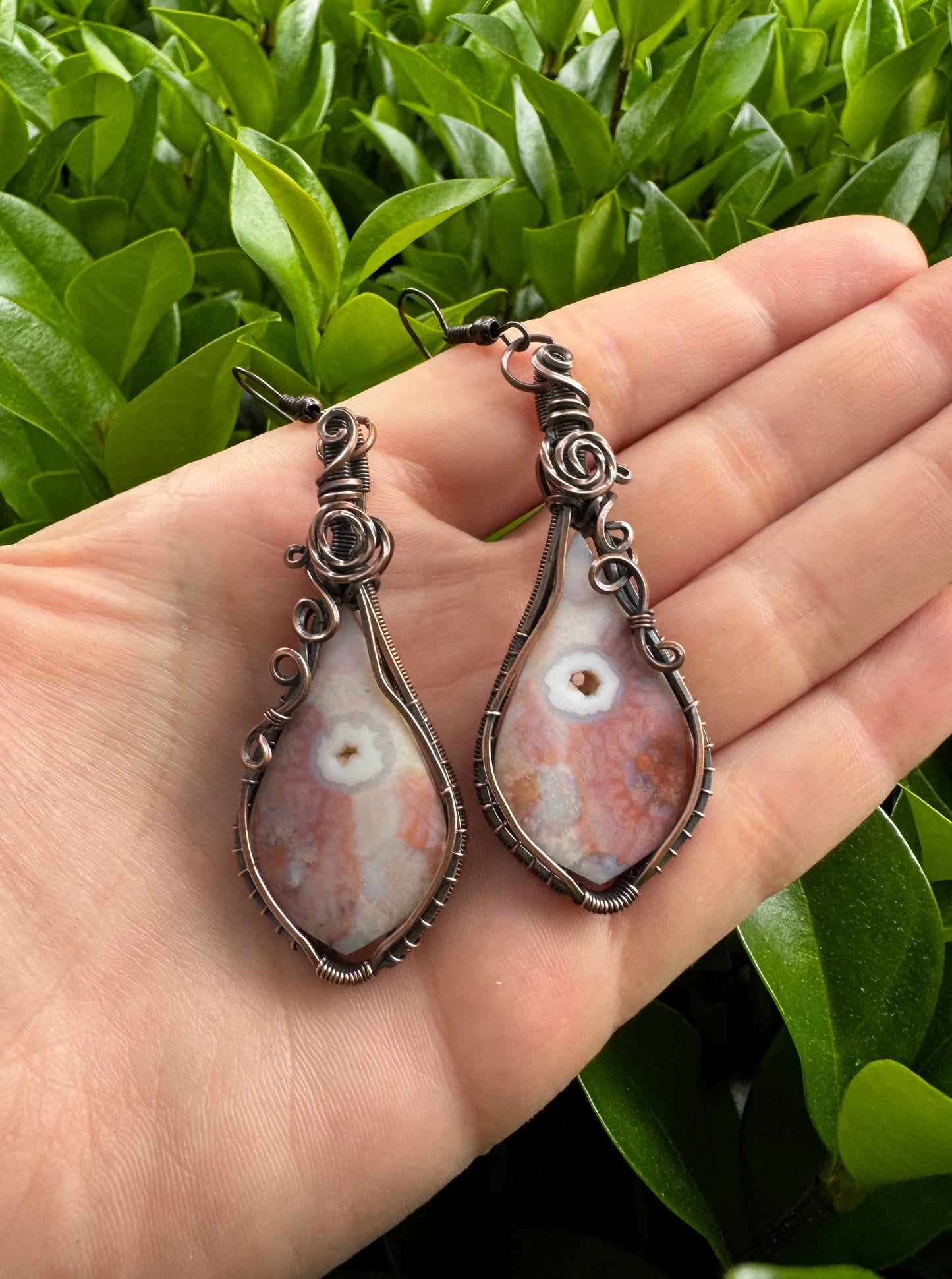 Druzy Fossilized Coral