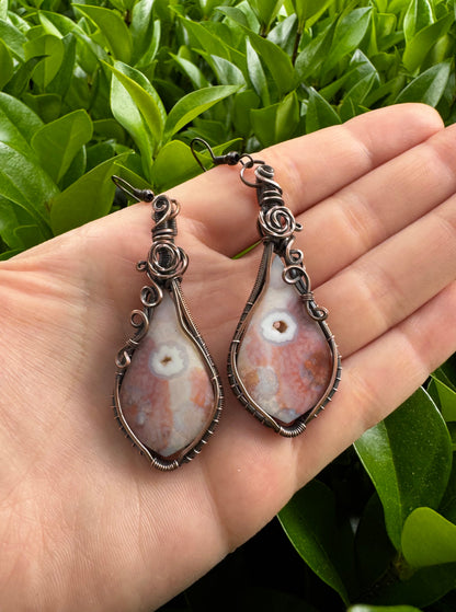 Druzy Fossilized Coral