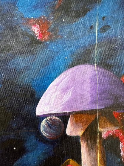 Sirian Night