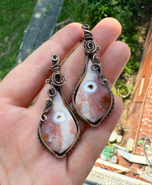 Druzy Fossilized Coral