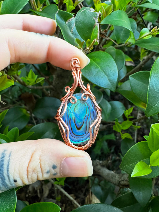 Abalone Shell