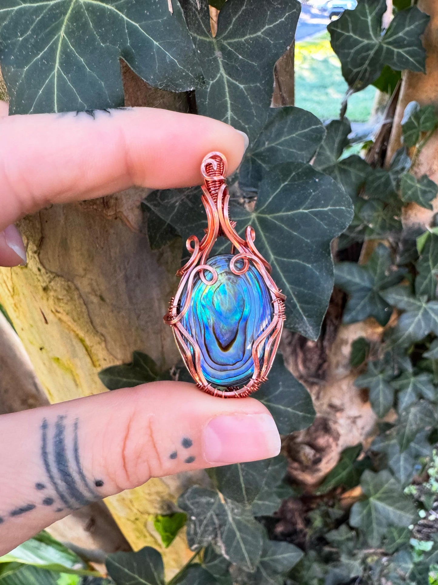 Abalone Shell