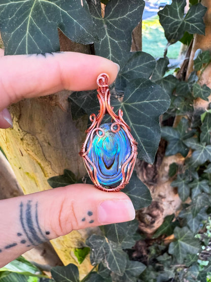 Abalone Shell