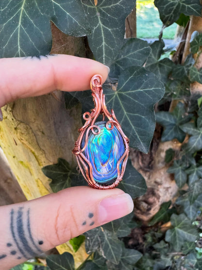 Abalone Shell