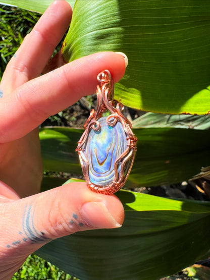 Abalone Shell