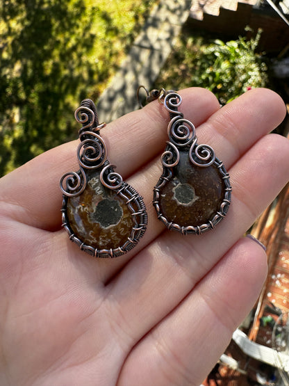 Ammonite
