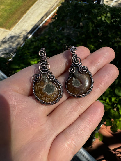 Ammonite